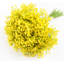 15 fleurs artificielles Babys Breath-101876951