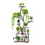 63" Tall Plant Stand Indoor with Grow Lights, Brown