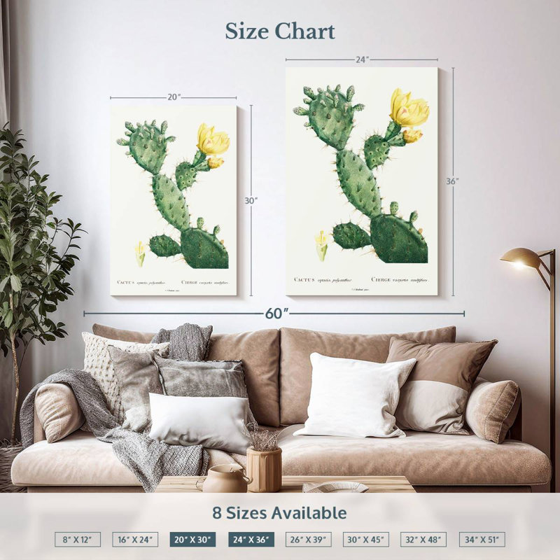Harnek, aloès, Opuntia Polyanthos, image de l'histoire des plantes grasses, H 36 po x l 24 po
