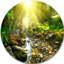 «Mountain Stream in Forest», reproduction de photo sur toile-802859874-802859879