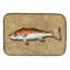 Tapis de séchage de poisson-29456818
