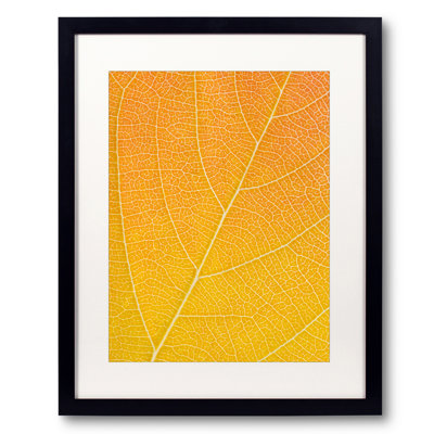 Autumn Leaf by Philippe Monthoux