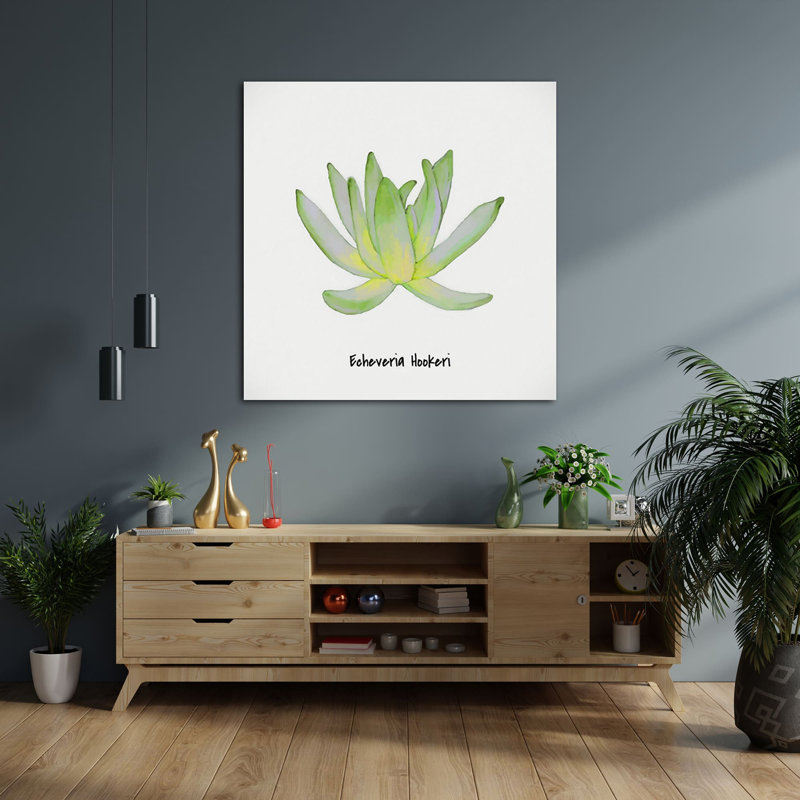 Echeveria Nova II - impression sur toile tendue, null