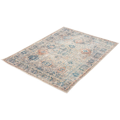 Oriental Indoor Rug