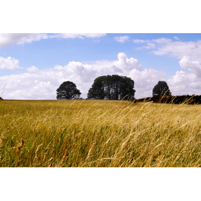 English Meadow - Wrapped Canvas Print