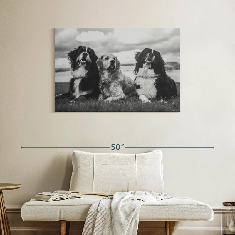 Brampt Bernese Mountain Dogs, 26" H x 39" W
