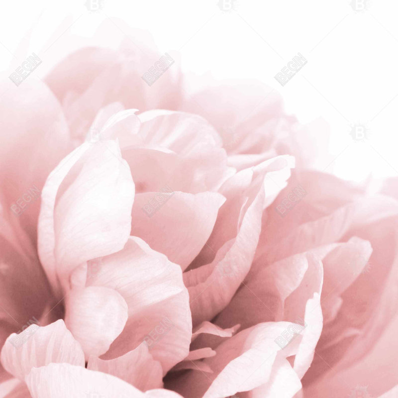 Peony flower dream - 18"x18" Outdoors Throw pillow - Spun poly - Print on demand