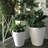 Self Watering Indoor/Outdoor Dot Planter-17049374-17023415