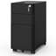 30 cm W 3 -Drawer - Drawer Wheels / Casters included Mobile Steel Filing Cabinet-1003764336