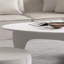 Table basse Wabi-sabi au design haut de gamme-98531038