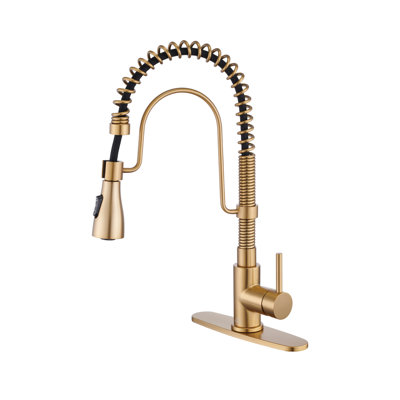 Bolden CASAINC 1.8 GPM Spring Neck Pull Down Kitchen Faucet with Deck Plate -  KCLT0022-BG