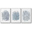 Summer Herb Garden Sketches I, encadré sur toile, 3 pièces-91415639-91415642