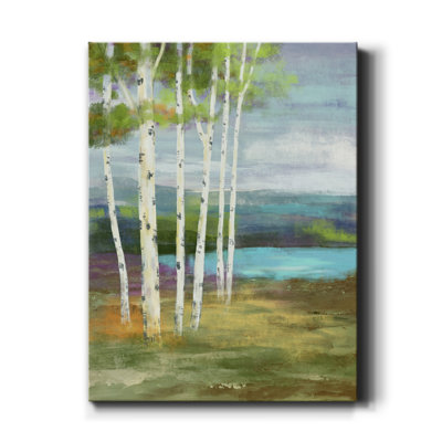 " High Country " by Nan