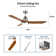 52'' Ceiling Fan with LED Lights