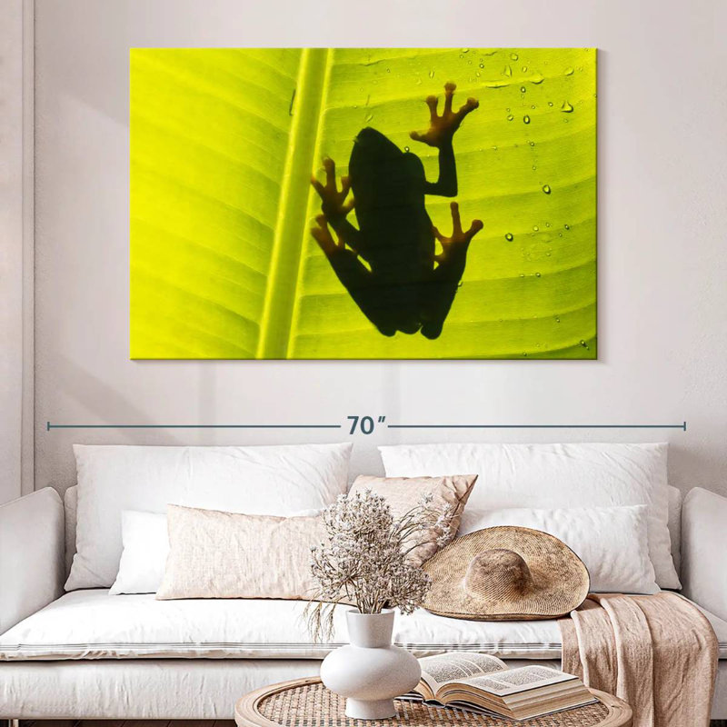 Crowle Frog On Leaf