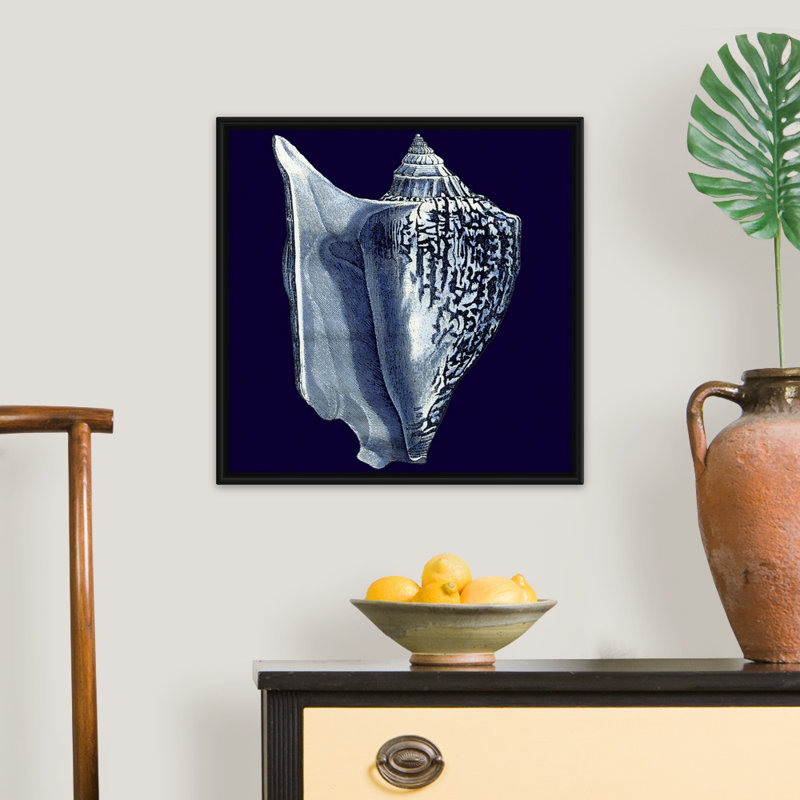« Indigo shells I » par vision studio-impression, Cadre noir, H 38 po x l 38 po x 1,75 po