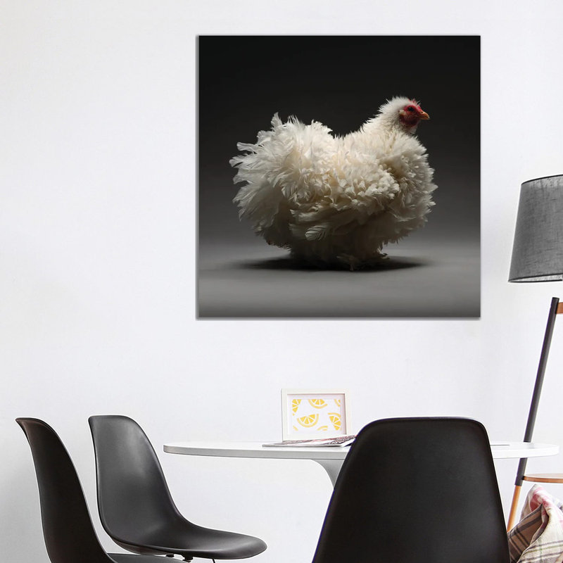 Frizzle Cochin 1 Piece Wrapped Canvas Painting, 93.98 cm H x 93.98 cm W x 1.91 cm D