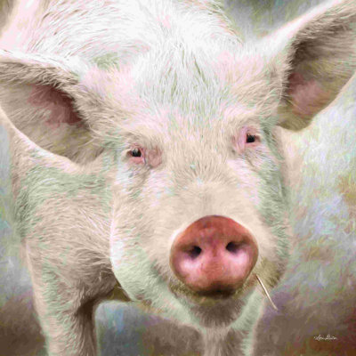 Visage de cochon