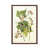 Classic Brown Wood Framed