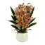 Orchid Arrangement with Rocks in a Ceramic Pot-1614395908