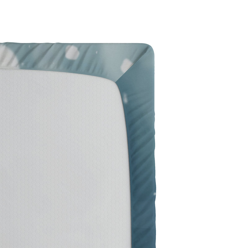 Ensemble de 2 draps-housses Ambesonne, Drap-housse de taille très grand