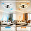 Ceiling Fan