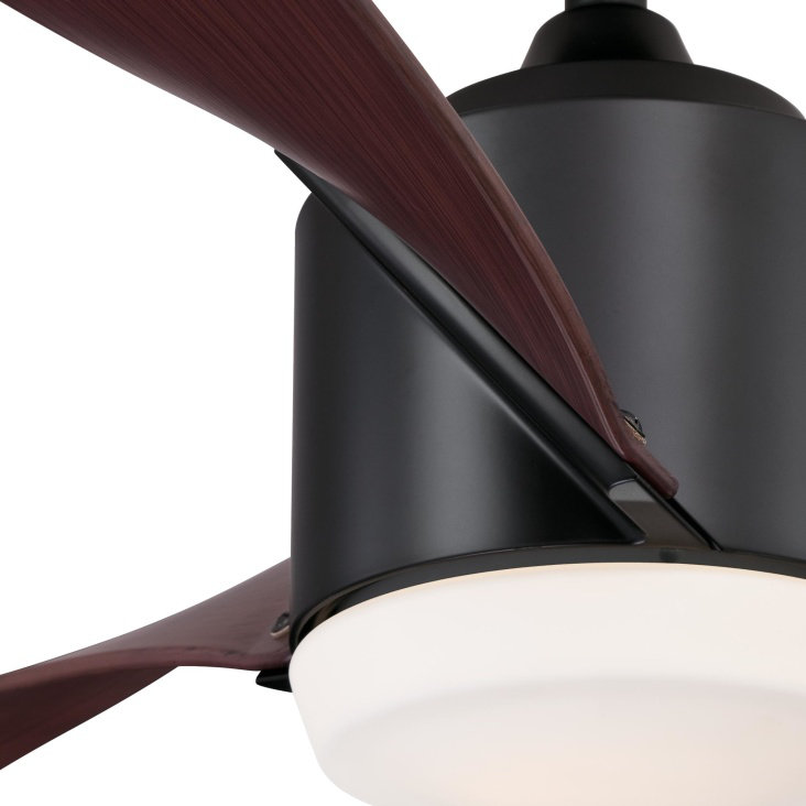 Schaitman Ceiling Fan with LED Lights