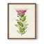 «Pretty Pink Botanicals IV», reproduction encadrée - bois massif-1364362623-1364362501