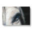 Eye of a White Horse in Abstract - Wrapped Canvas-55314959