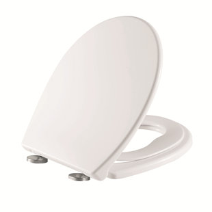 Toilet lid-669