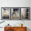 FLORAL Series CDI  -Custom Framed  Premium Print W Matt - 3 Pieces-1231686673-1231686675