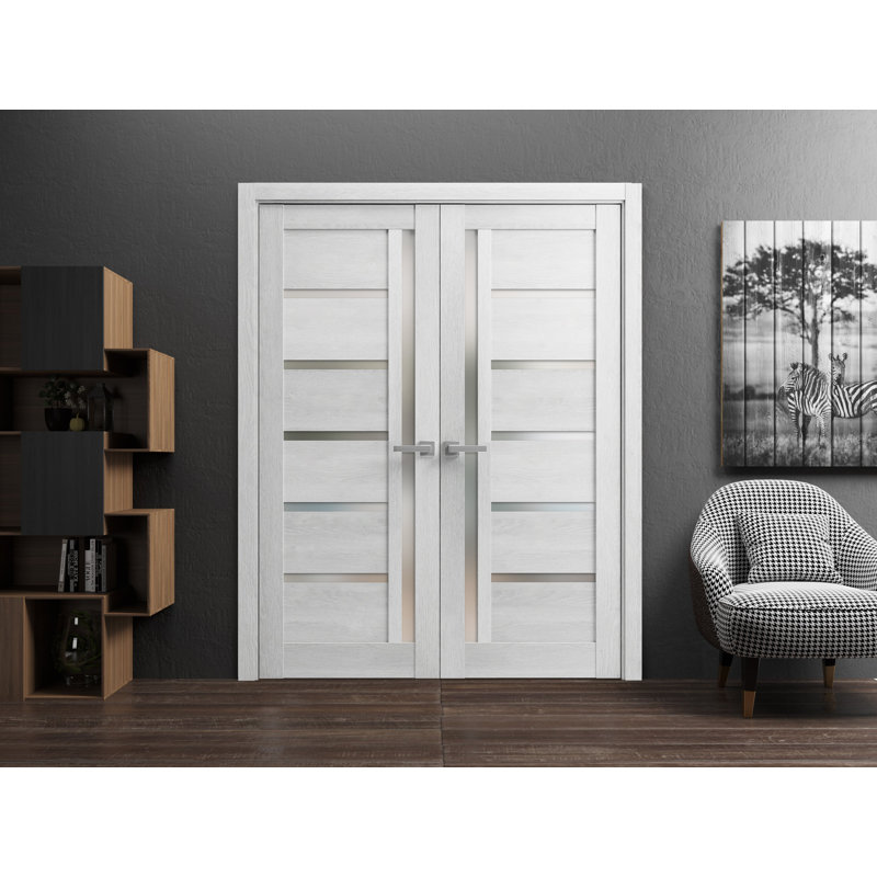 Portes doubles françaises massives en verre dépoli Quadro 4088, en chêne gris pâle, panneaux massifs, cadre et garnitures, portes robustes pour placard ou chambre à coucher, 60 po x 80 po (2 x 30 x 80 po)
