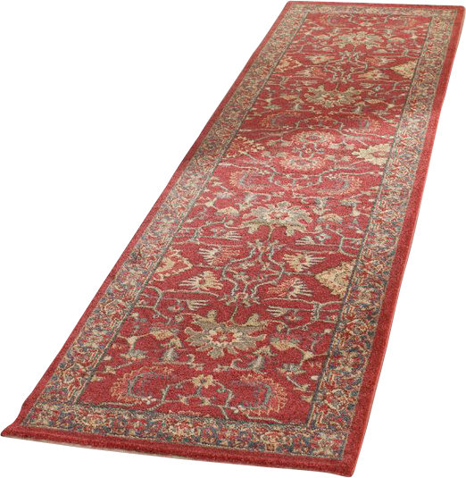 Bellflower Oriental Area Rug, Runner 66 x 244 cm