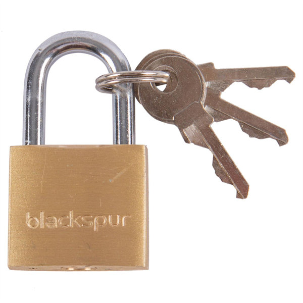 Blackspur Brass Heavy Duty Lock | Wayfair.co.uk