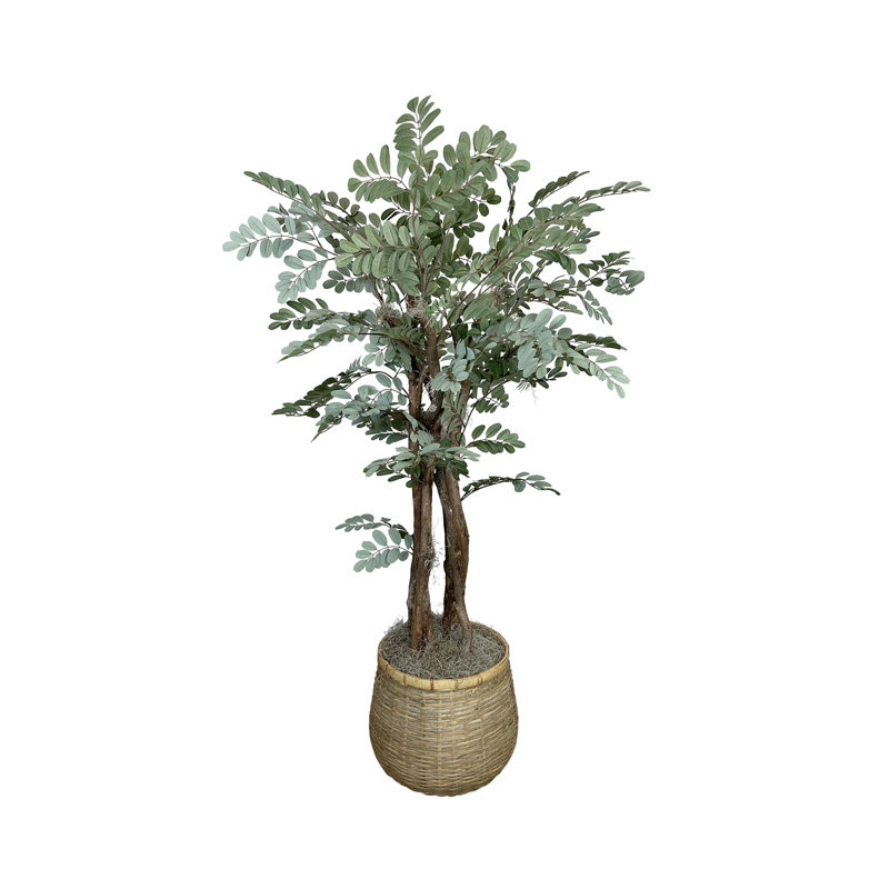 Organic Modern 4.5' Faux Moringa Tree