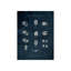 Le Monde De Coquilles I Print by Sofia Fox-26945518-26945517