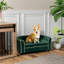 Lit pour animal de base Basic - Endroit douillet pour votre ami