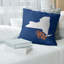 Coussin en lin nevada-1720385303-1720385299-1720380596