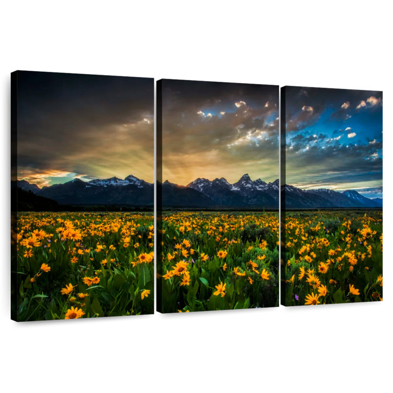 Rayons de soleil Alvord Grand Teton, H 42 po x l 65 po