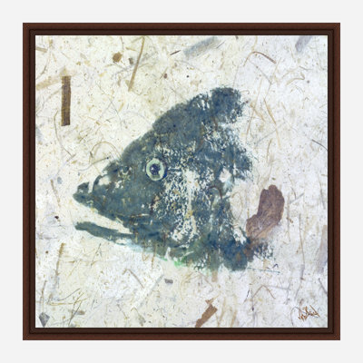 Snapper Blue By John Beard - Gallery Wrapped Canvas Print Print by John Beard