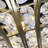 Round Ceiling Light