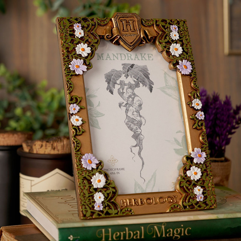 Picture Frame
