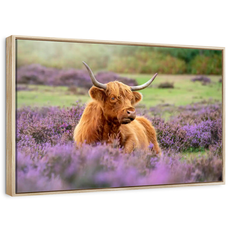 Highland Cow Paradise, Cadre flottant en bois naturel, 13 po x 9 po