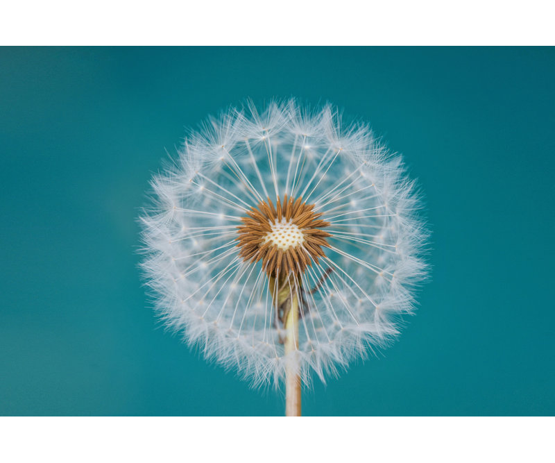 Wrapped Canvas Print, 50.8 cm H x 76.2 cm W