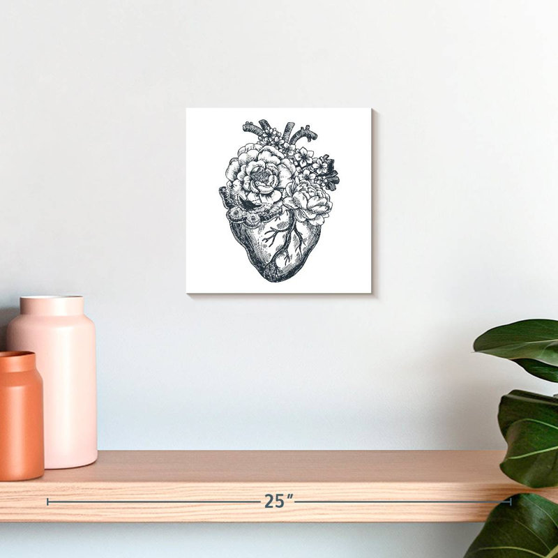 Anatomie du cœur Harnek, H 10 po x l 10 po