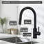 Metro Lane Daury Kitchen Faucet-464060997