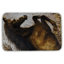 Adefolarin Microfiber Non-Slip Bath Mat