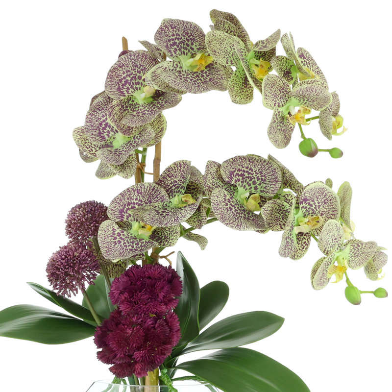 Orchid And Sedum Arrangement In Glass Vase