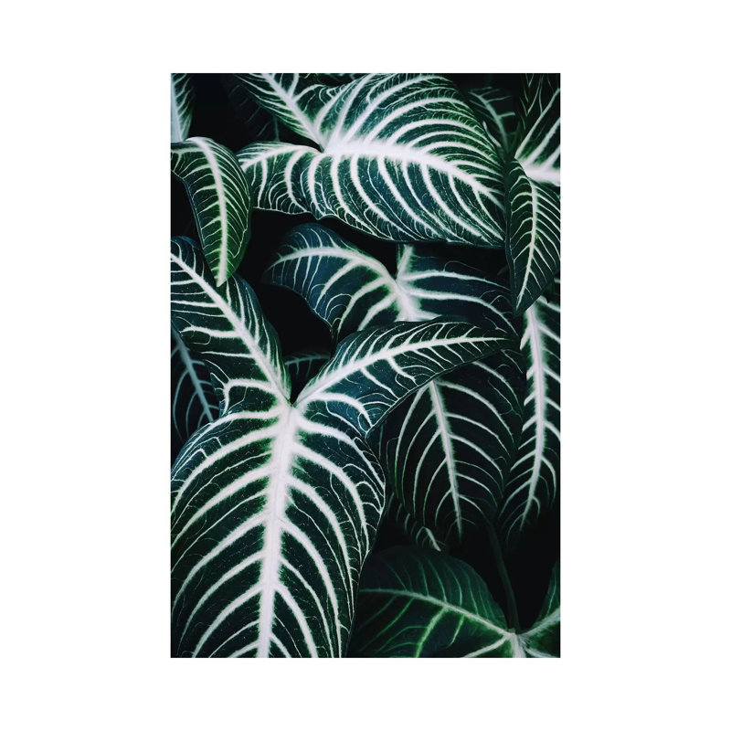 Jungle II 1 Piece Wrapped Canvas Wall Art, 66.04 cm H x 45.72 cm W x 3.175 cm D