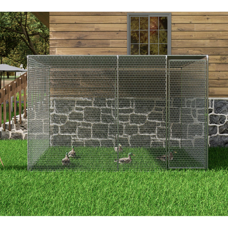 Cage à poules pour poulailler